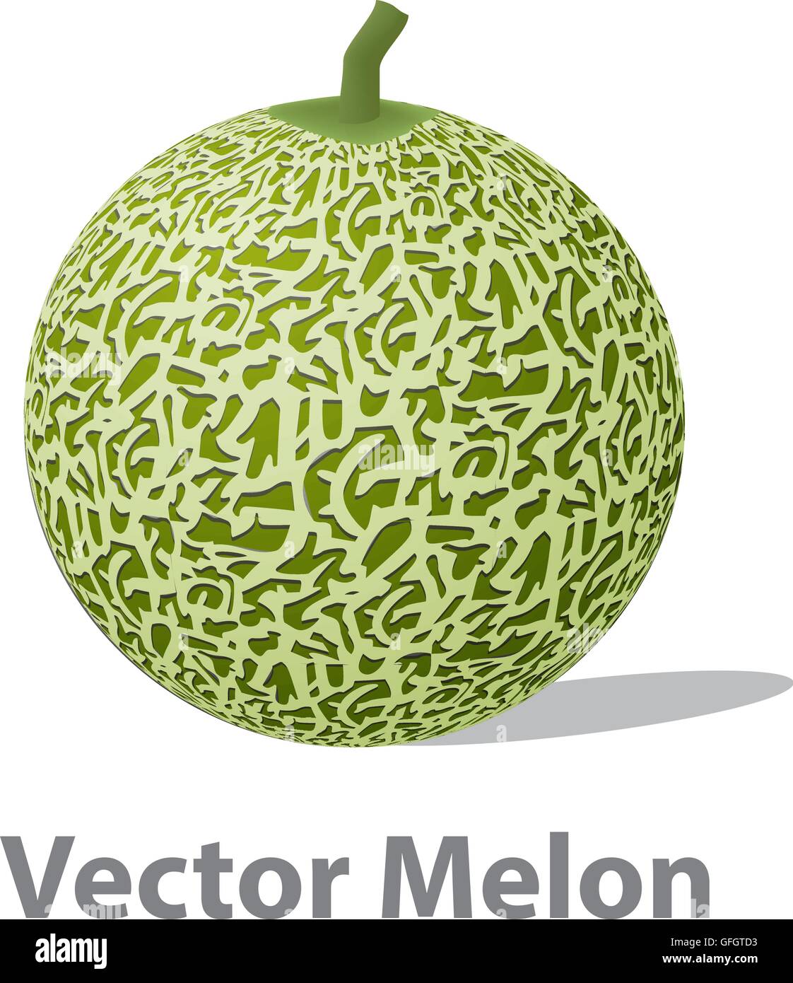 Realistic melon ball isolated on white, vector Stock Vector