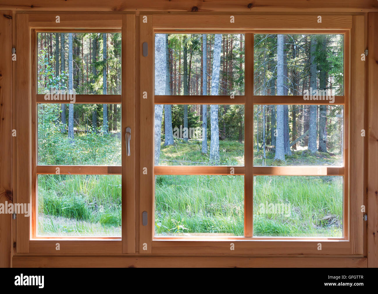 Green sunny view of summer woods in the wooden country window. Stock Photo