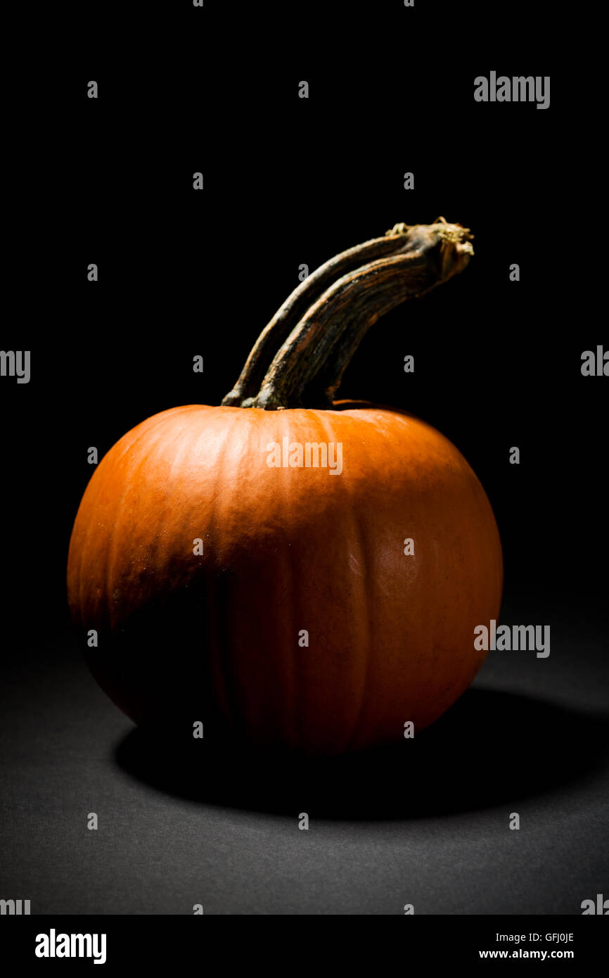 Halloween pumpkin dramatically lit on black background. Stock Photo