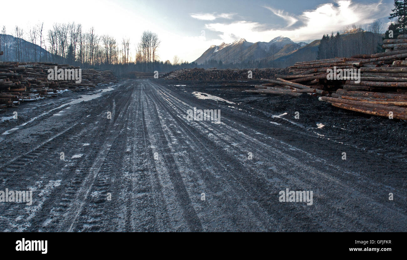 A large lumberyard off of scenic WA530 near Darrington, in the heart of the Cascade Mountains, in Washington State at sunset. Stock Photo