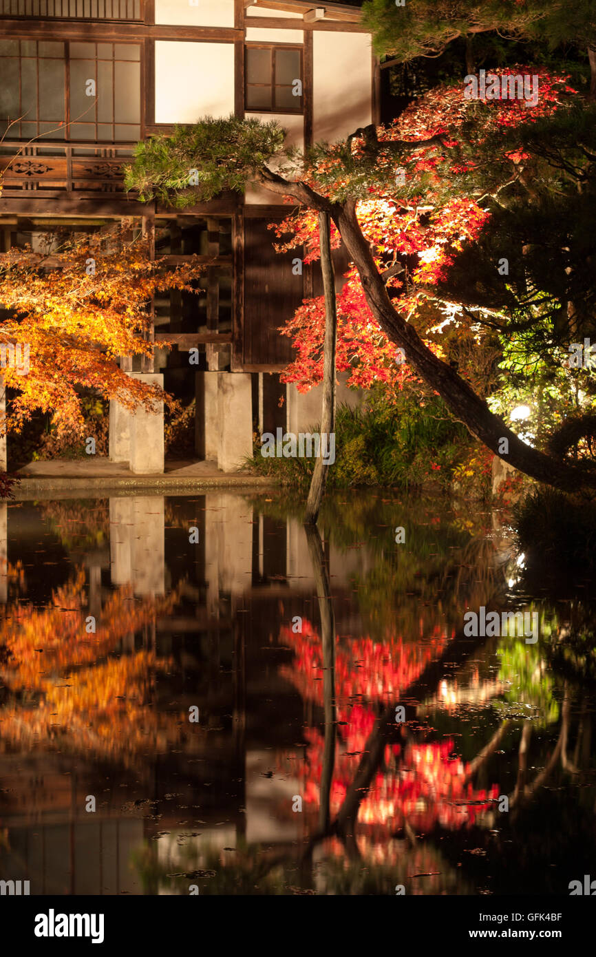 Lighting up red and yellow maple trees at a Japanese garden in autumn Stock Photo