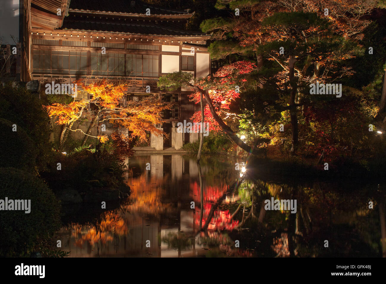 Lighting up red and yellow maple trees at a Japanese garden in autumn Stock Photo