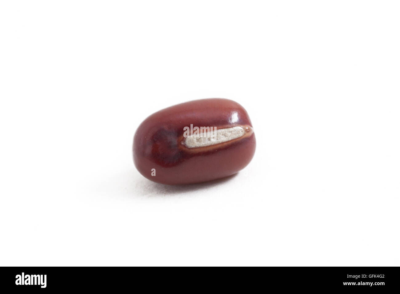 Japanese red beans on white isolated background Stock Photo Alamy