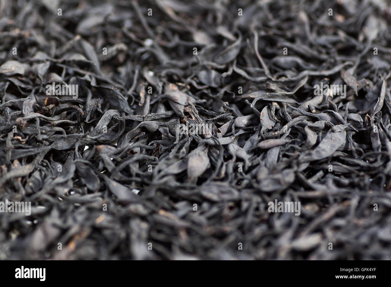 Japanese dried sea weeds called Hijiki in full frame Stock Photo