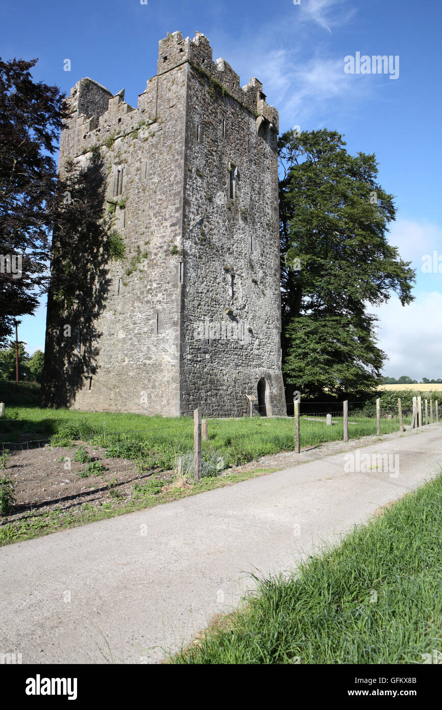 Burnchurch castle, A 15th century Norman tower house, situated in County Kilkenny, Ireland Stock Photo