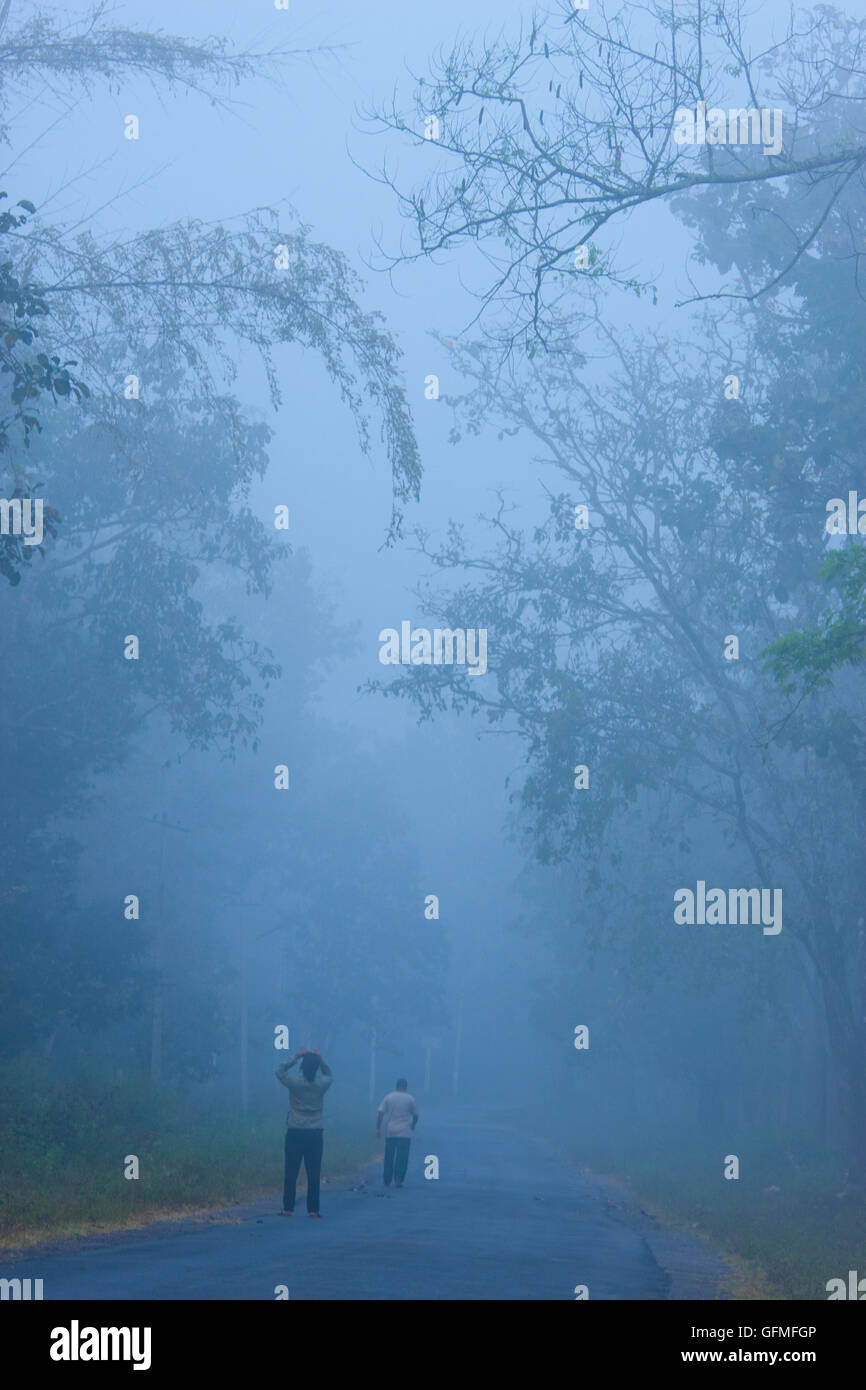 Misty Winter Morning Stock Photo