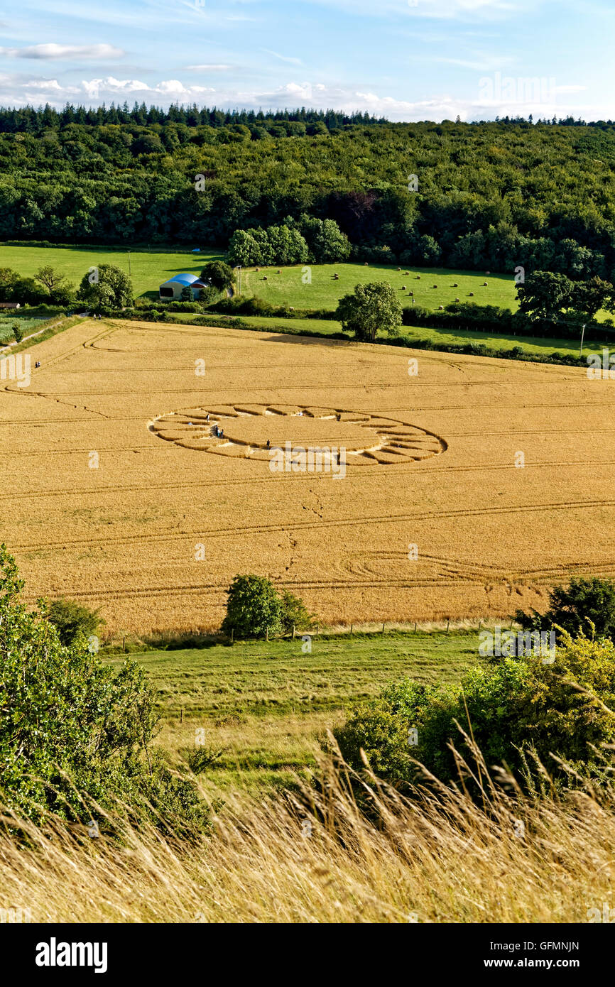 Warminster, Wiltshire, UK. 31st July 2016. A crop circle at the foot of