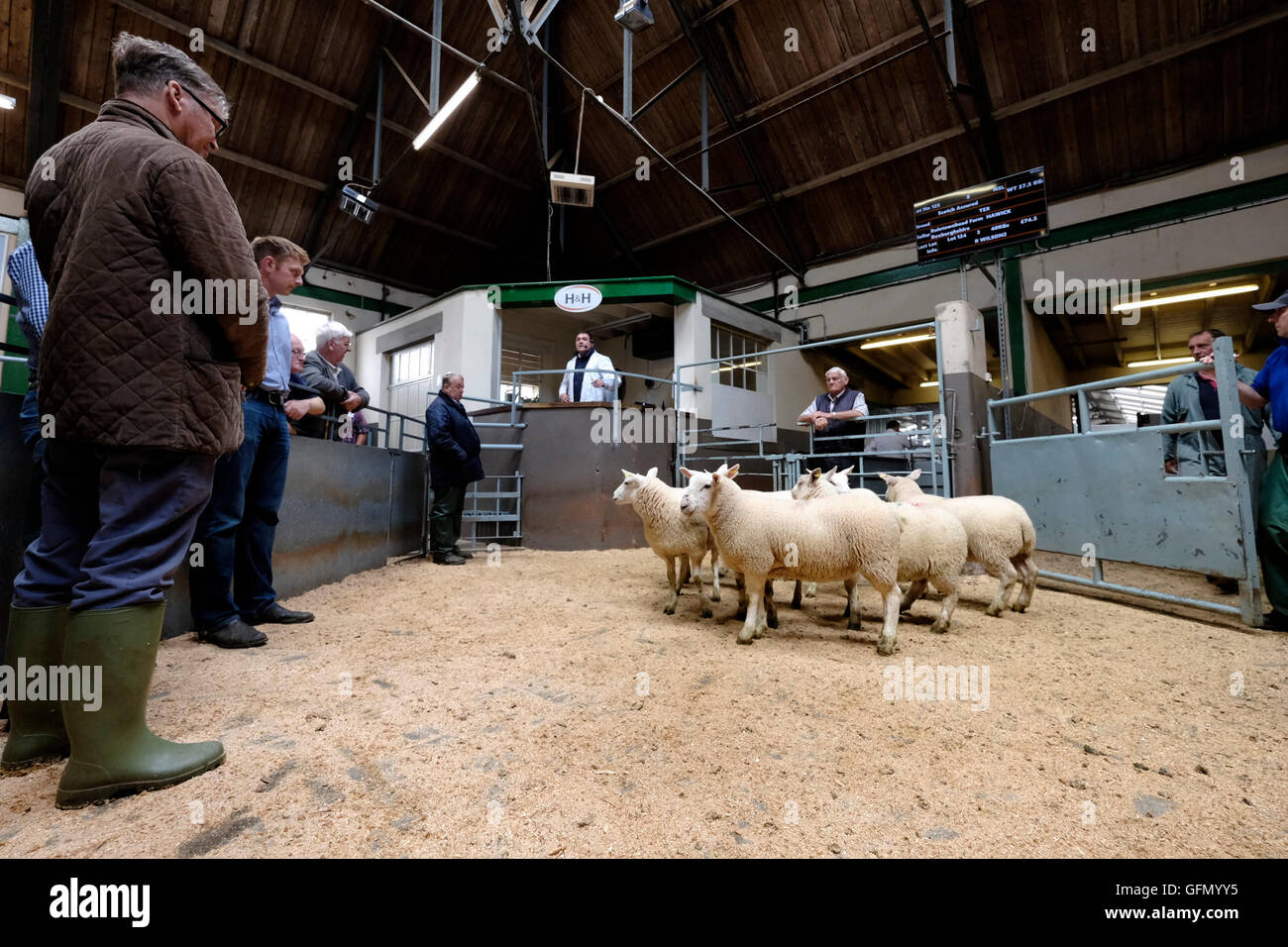 Newtown st boswells hires stock photography and images Alamy