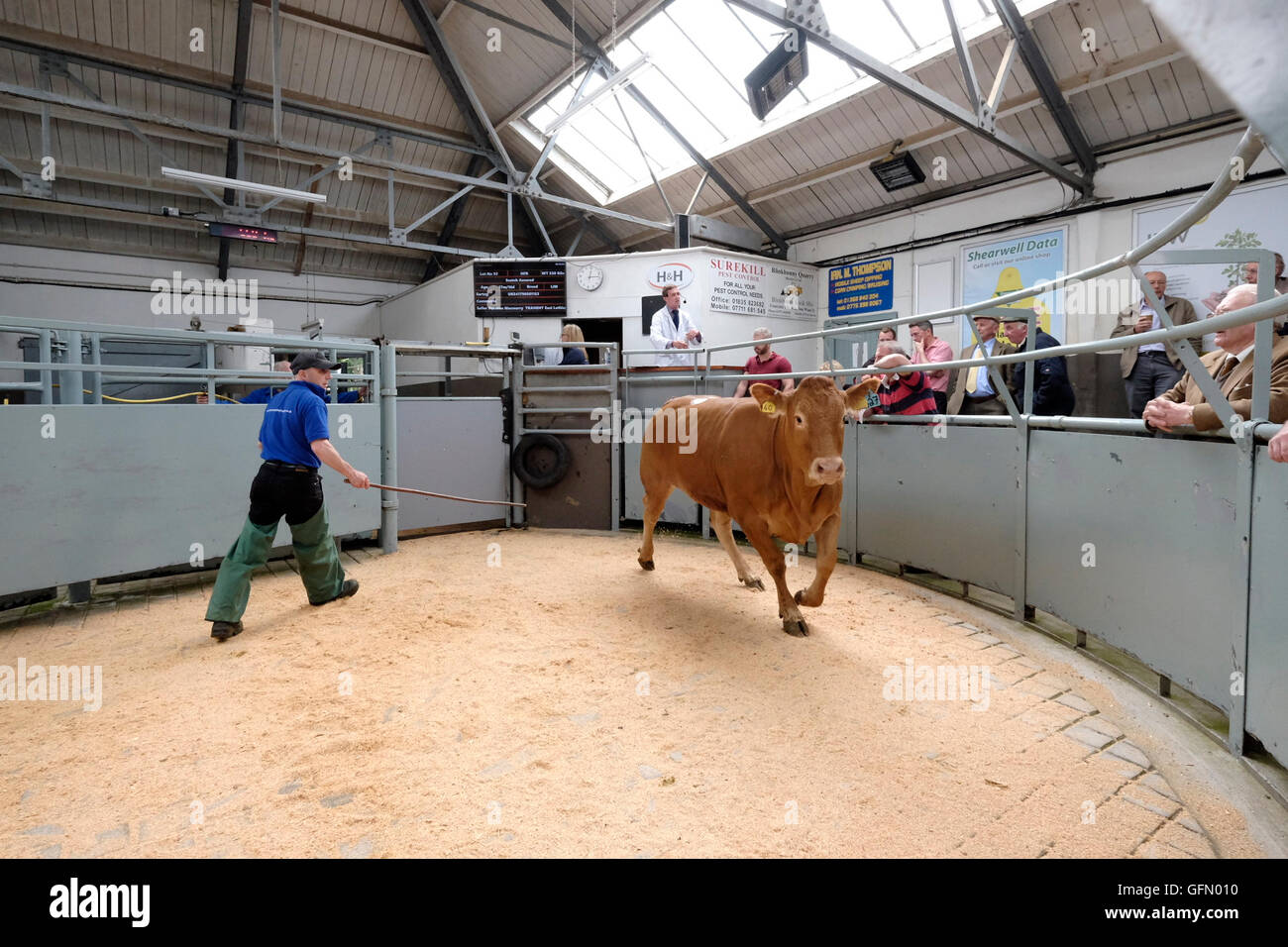 Newtown st boswells hires stock photography and images Alamy