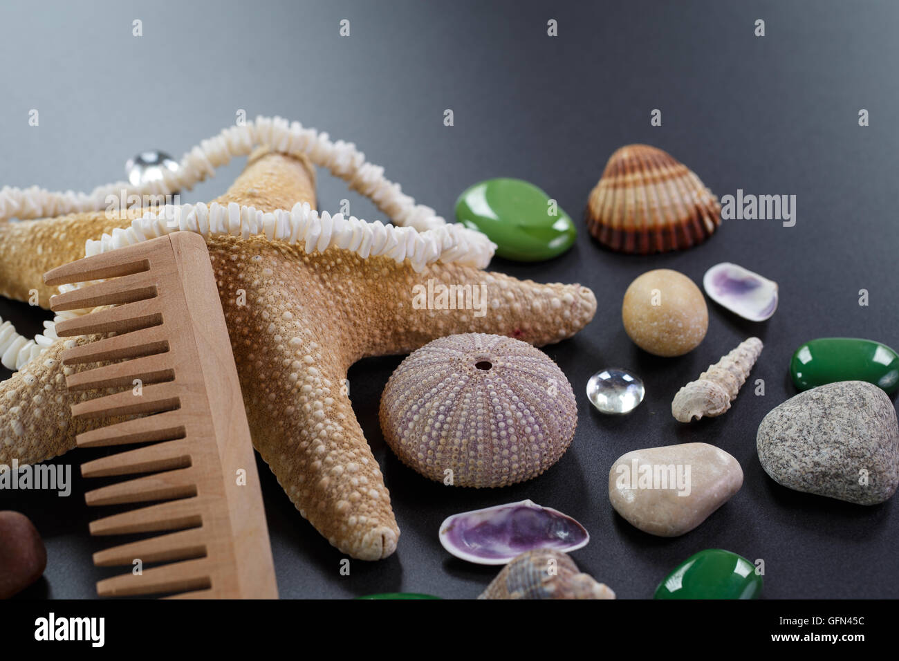 Comb sea star hi-res stock photography and images - Alamy