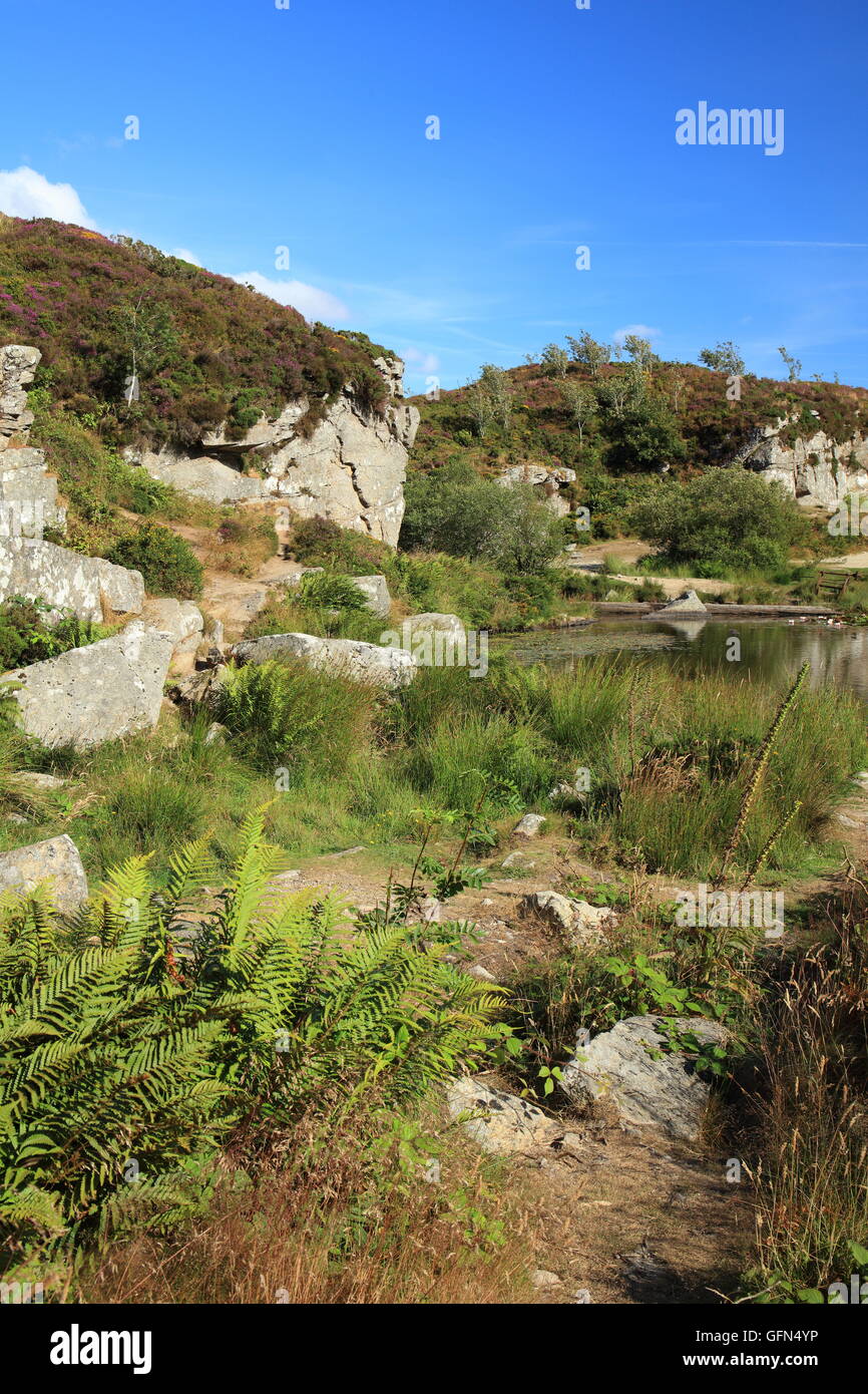 Haytor disused granite quarry, Dartmoor National Park, Devon, England