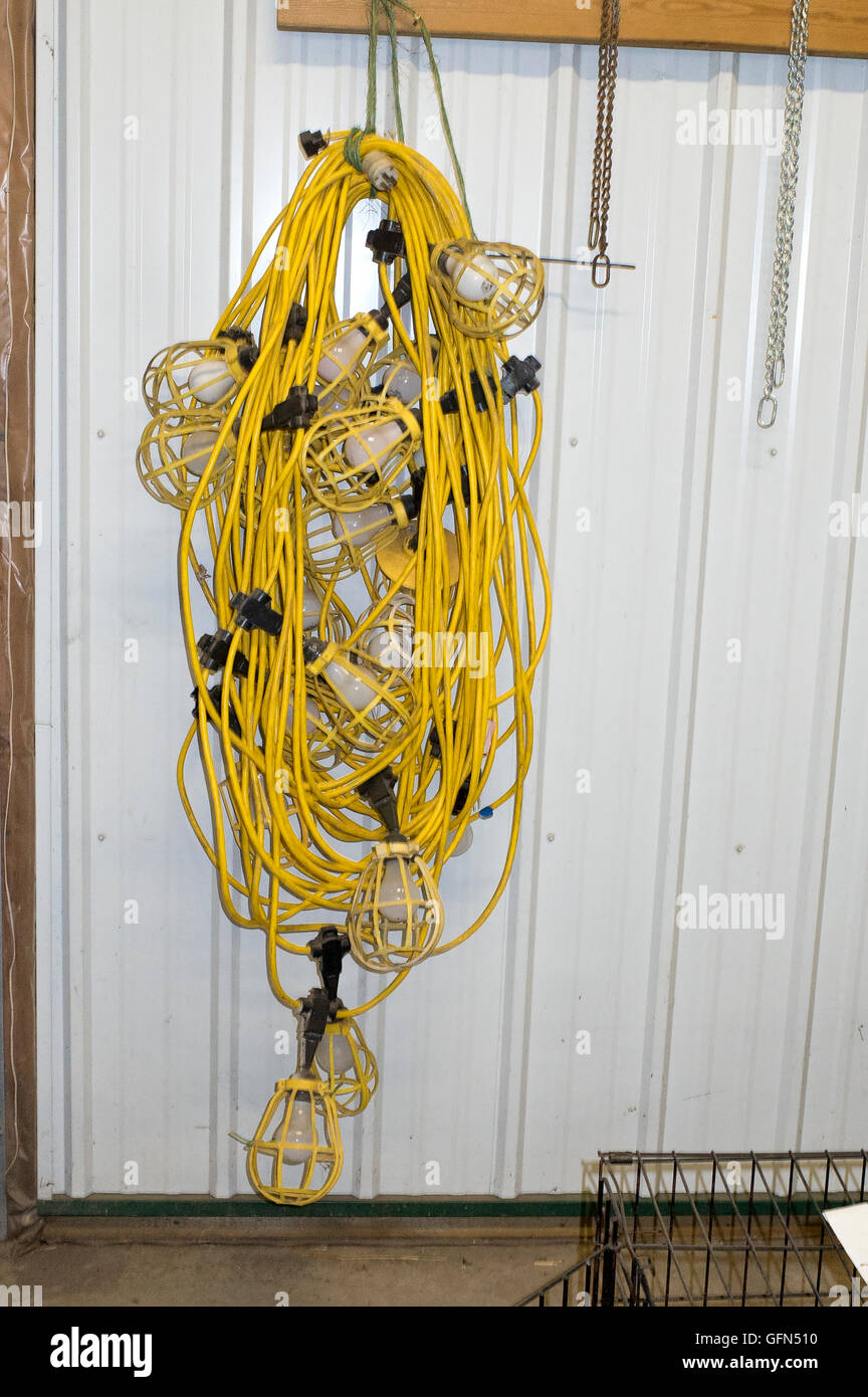 Long looped yellow utility extension cords with many wicket-like light bulb protectors. Vining Minnesota MN USA Stock Photo