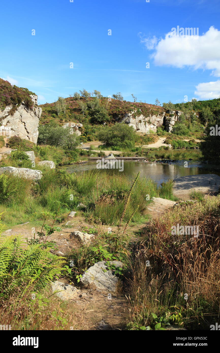 Haytor disused granite quarry, Dartmoor National Park, Devon, England