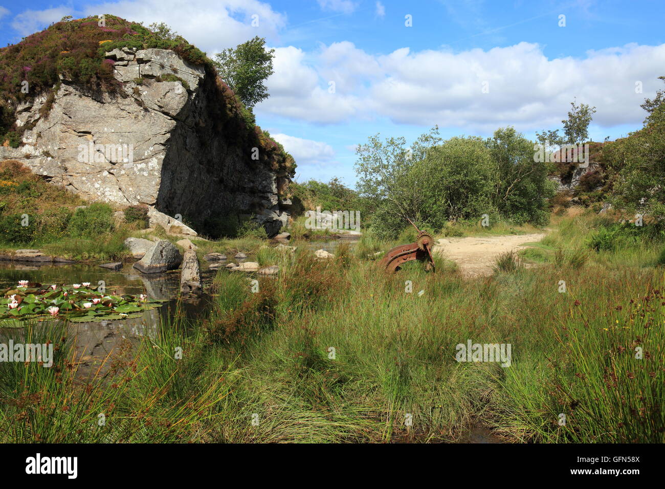 Haytor disused granite quarry, Dartmoor National Park, Devon, England
