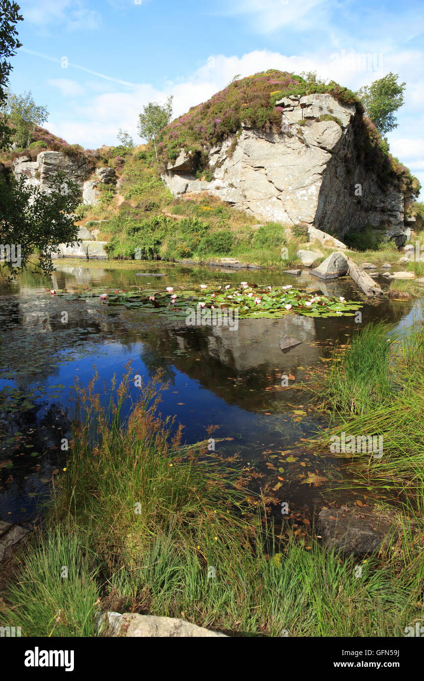 Haytor disused granite quarry, Dartmoor National Park, Devon, England