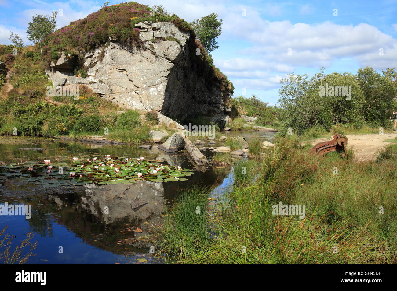 Haytor disused granite quarry, Dartmoor National Park, Devon, England