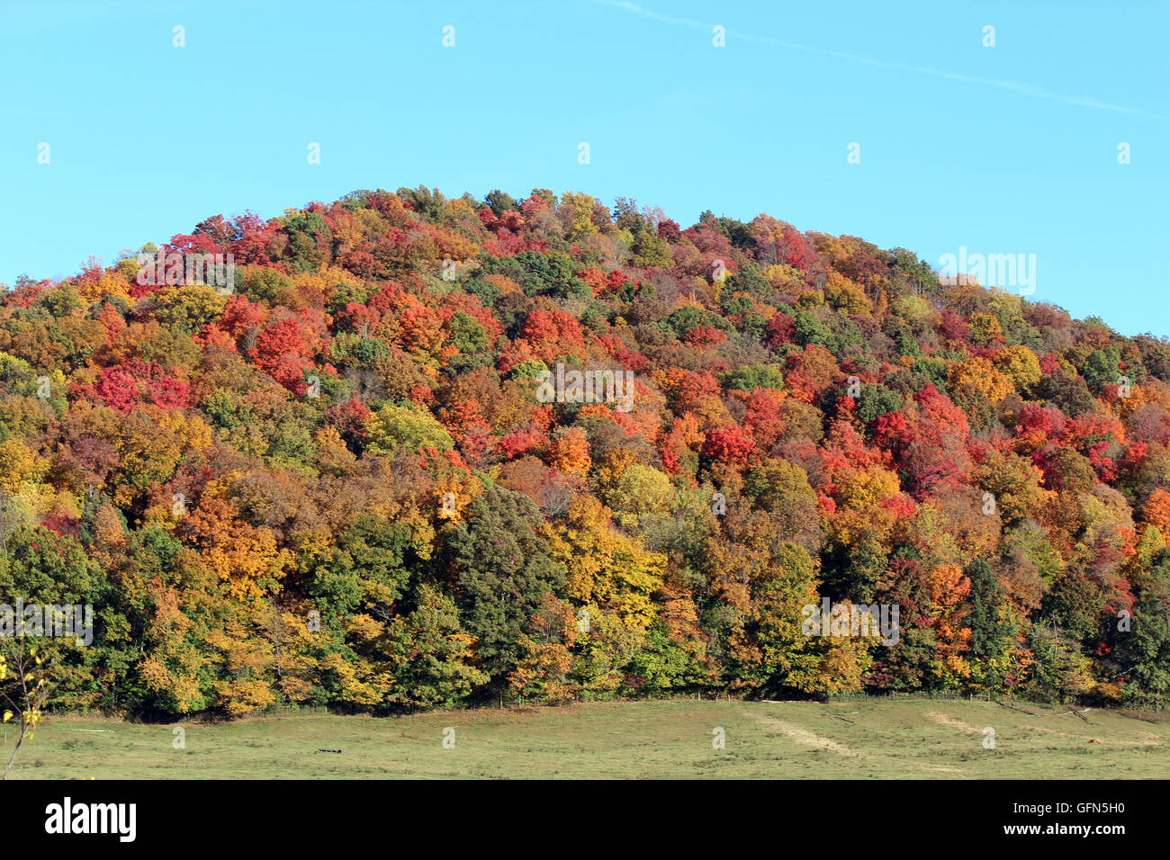 Fall colors in TN Stock Photo Alamy