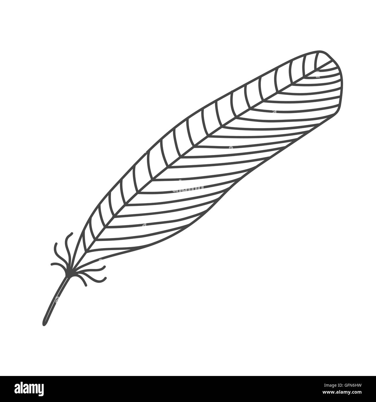 Black hand drawn feather Stock Vector Image & Art - Alamy
