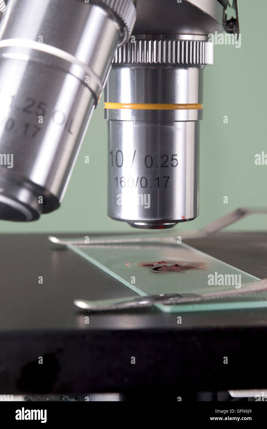 closeup of microscope lenses and glass slide Stock Photo Alamy