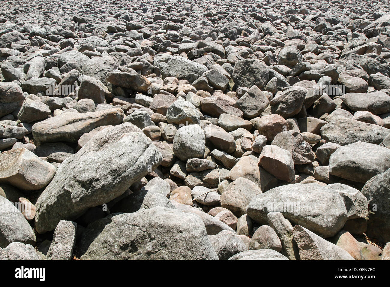 Boulder Field, Hickory Run State Park, Carbon County, Pennsylvania ...
