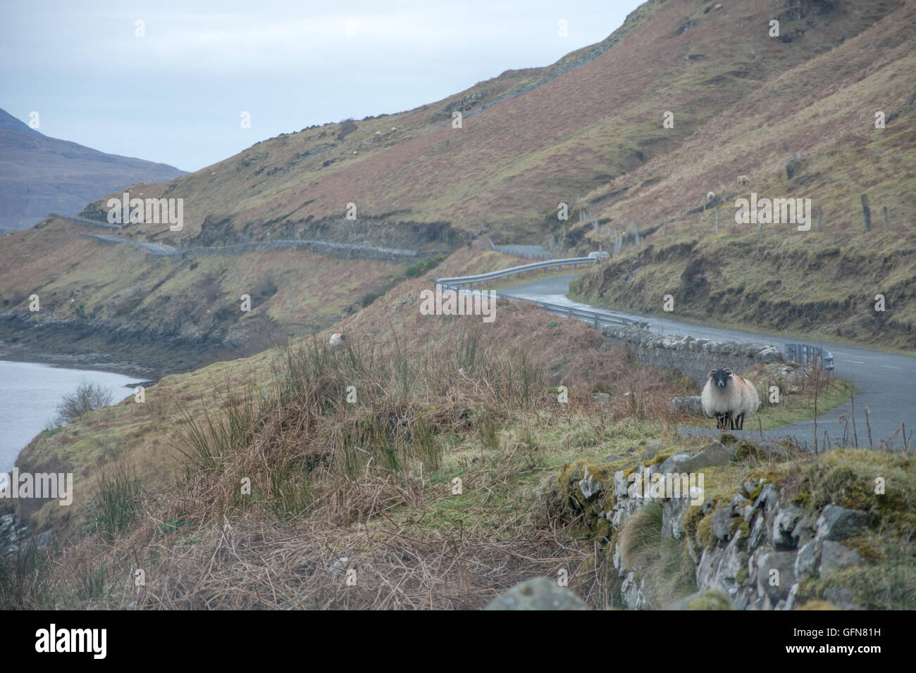 Southern Ireland Landscape Stock Photo