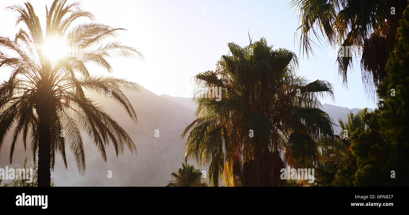 sunset over mountains and palms Stock Photo