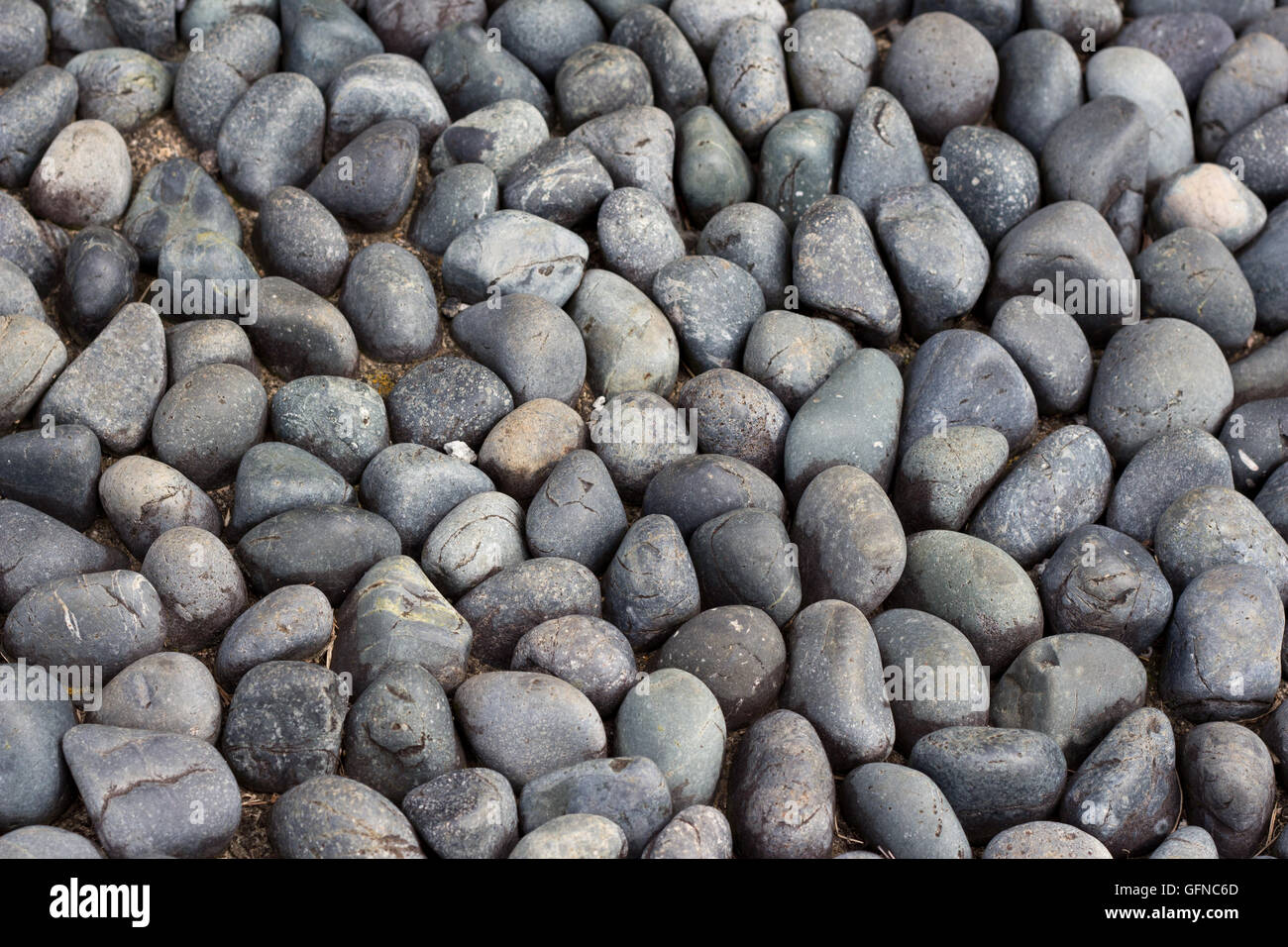 Round sleek cobbles in full frame Stock Photo