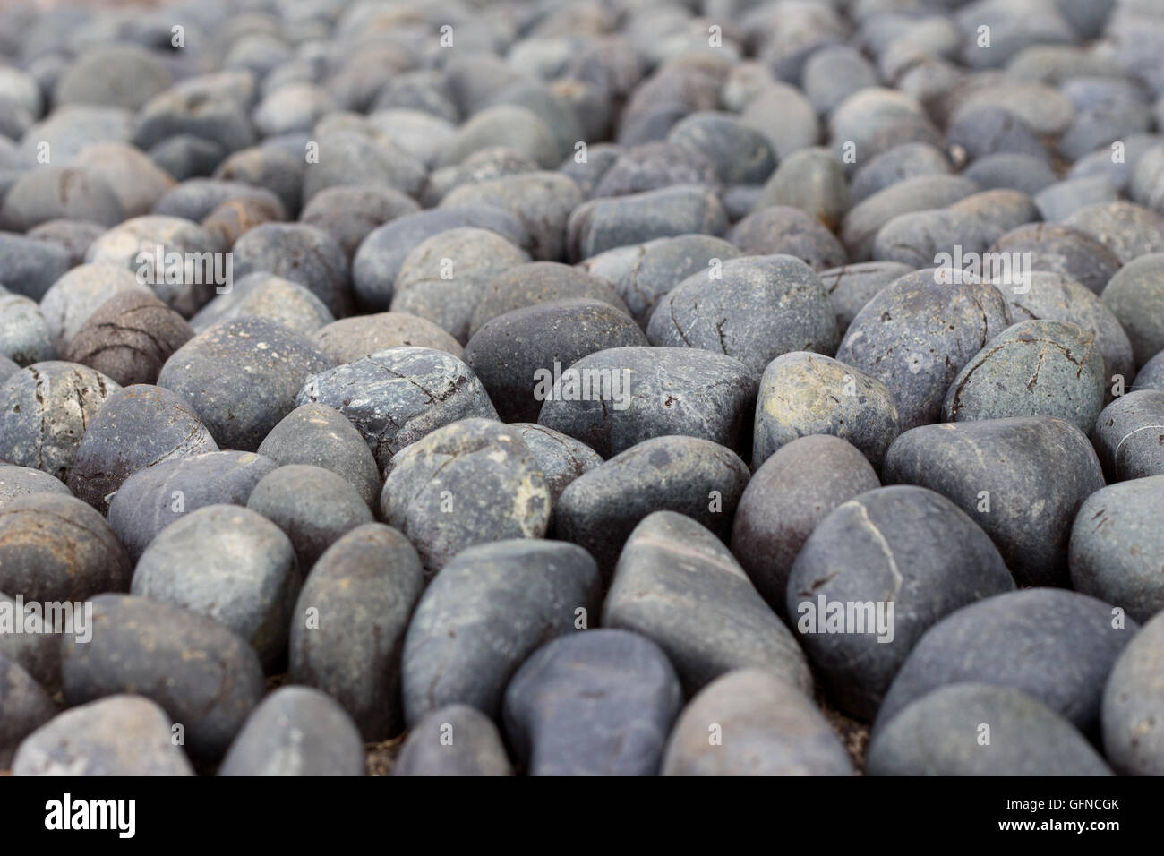 Round sleek cobbles in full frame Stock Photo