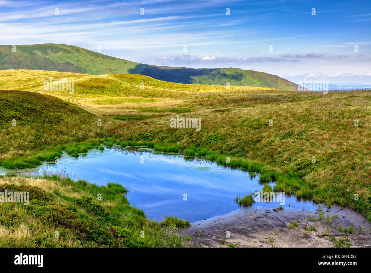 summer landscape in mountains with small swamp on hill side Stock Photo