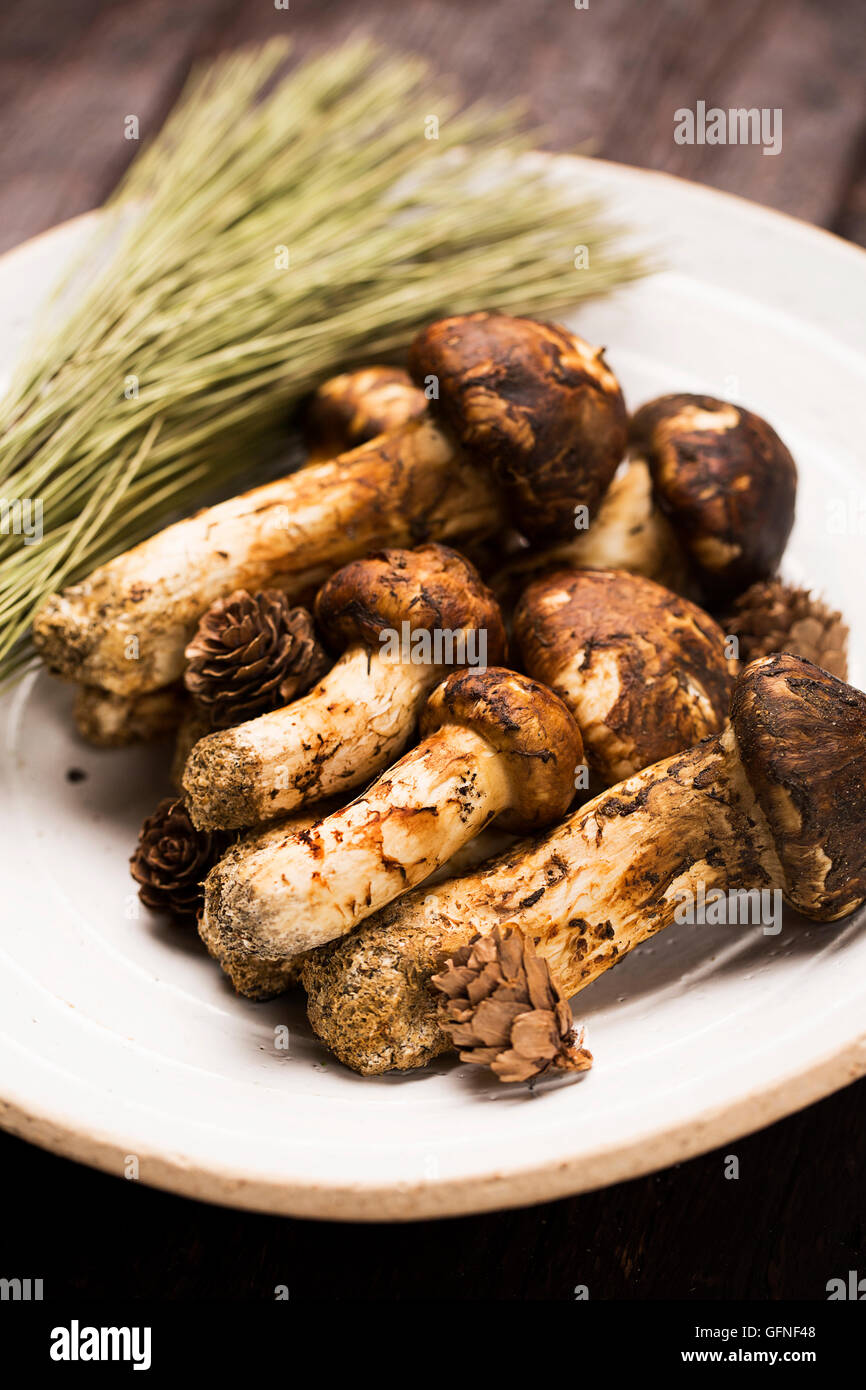 Matsutake Mushroom on a Plate Stock Photo Alamy