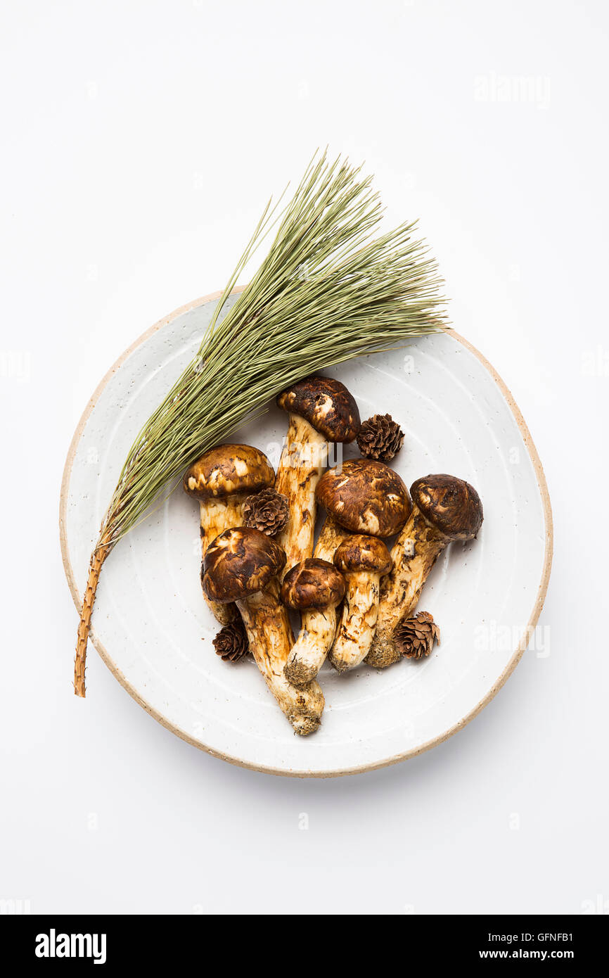 Matsutake Mushroom Isolated on White Stock Photo Alamy