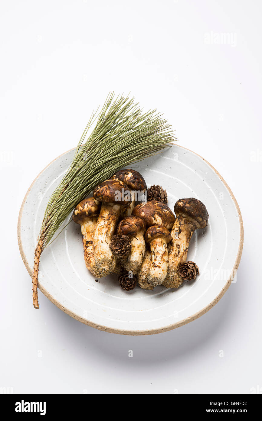 Matsutake Mushroom Isolated on White Stock Photo Alamy