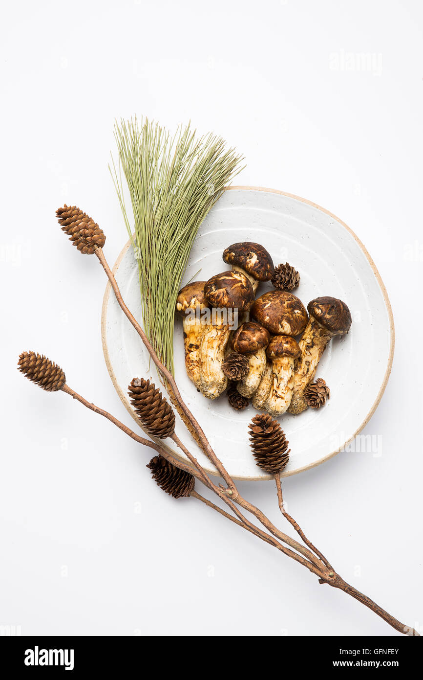 Matsutake Mushroom Isolated on White Stock Photo Alamy