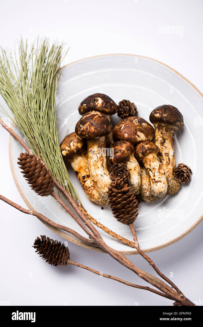 Matsutake Mushroom Isolated on White Stock Photo Alamy