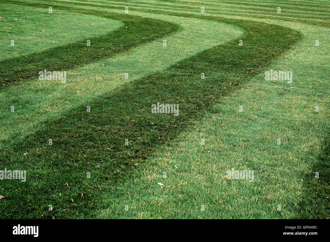 Grass with patterns Stock Photo - Alamy