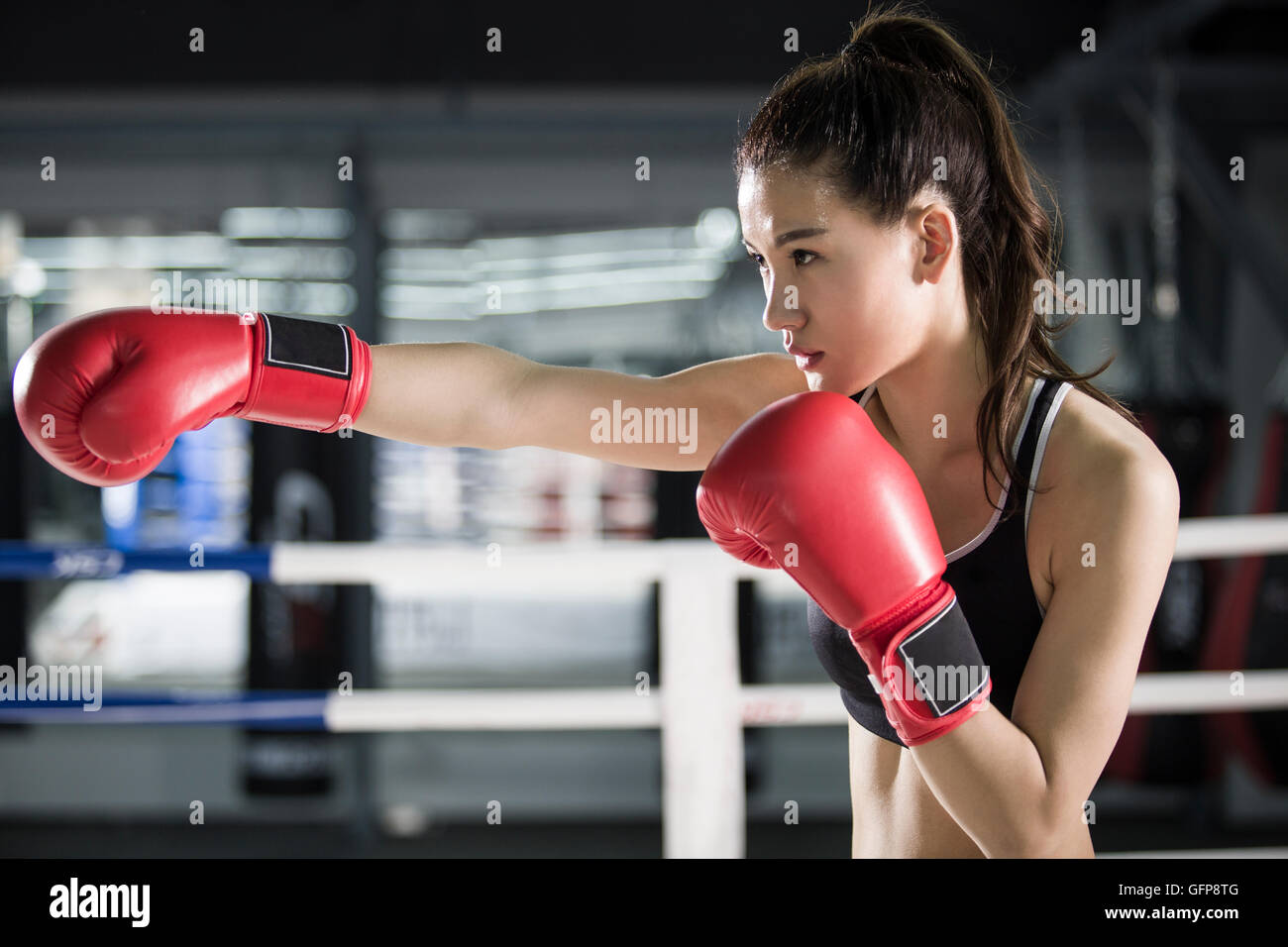 Female Chinese boxer practicing in boxing ring Stock Photo Alamy