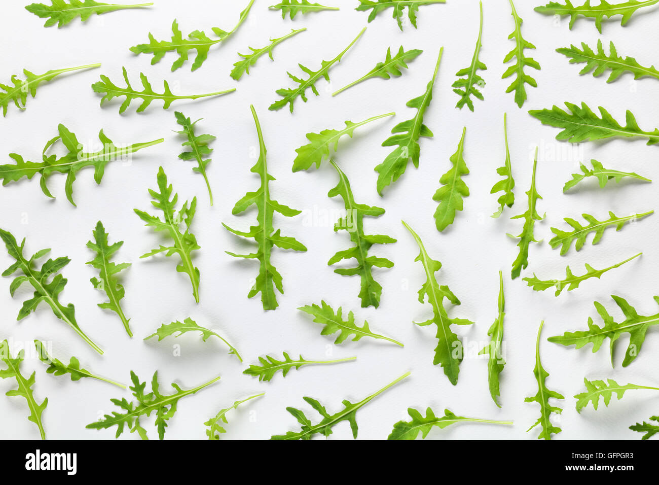 Fresh arugula leaves on white background. Stock Photo