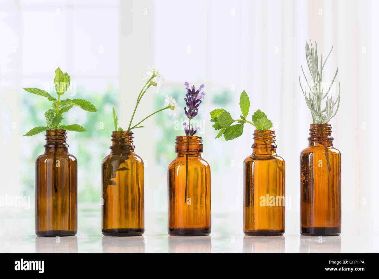 Bottle of essential oil with herbs and spices in brown bottles Stock Photo