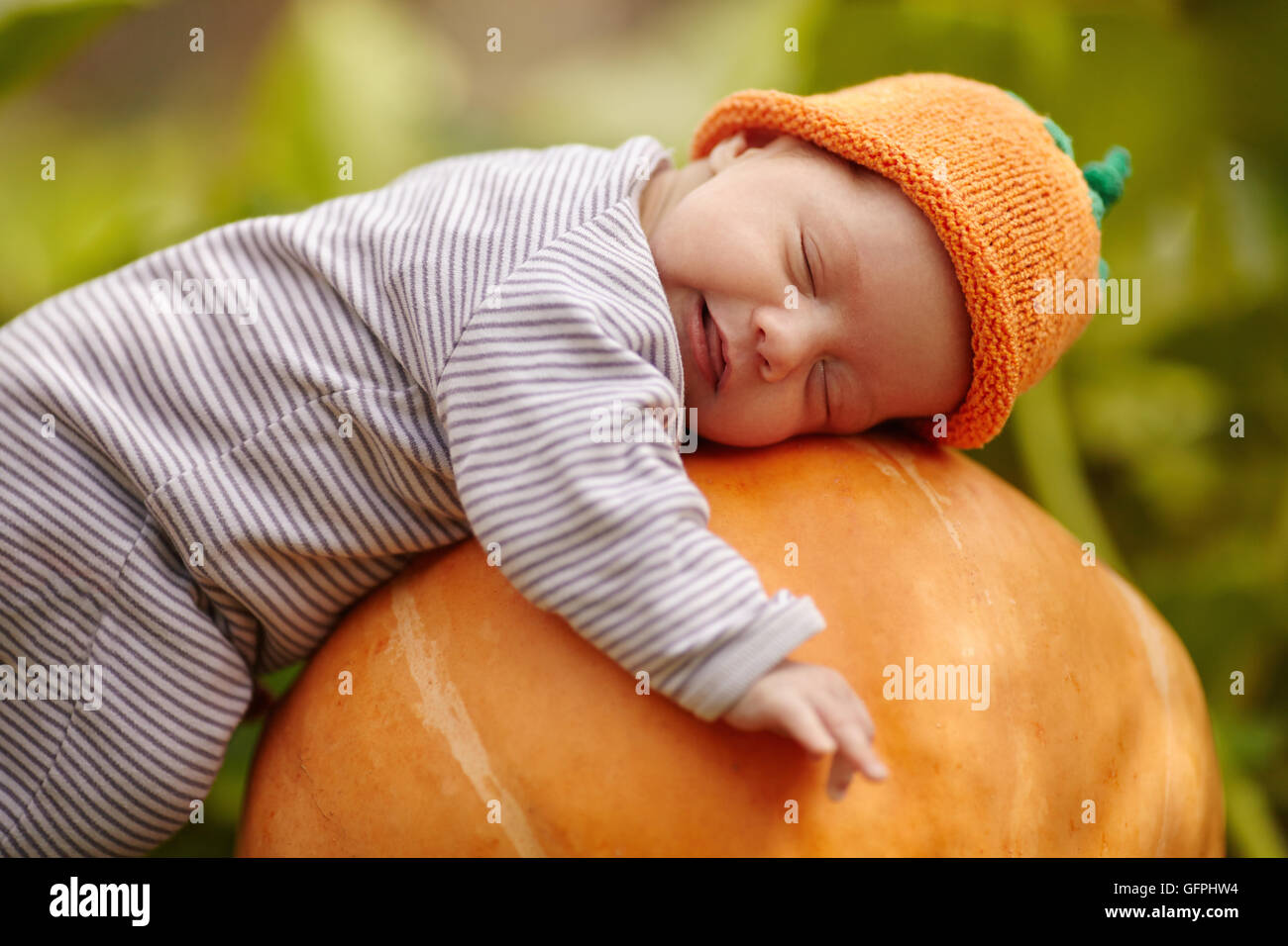baby with pumpkin hat sleeping on big orange pumpkin Stock Photo - Alamy