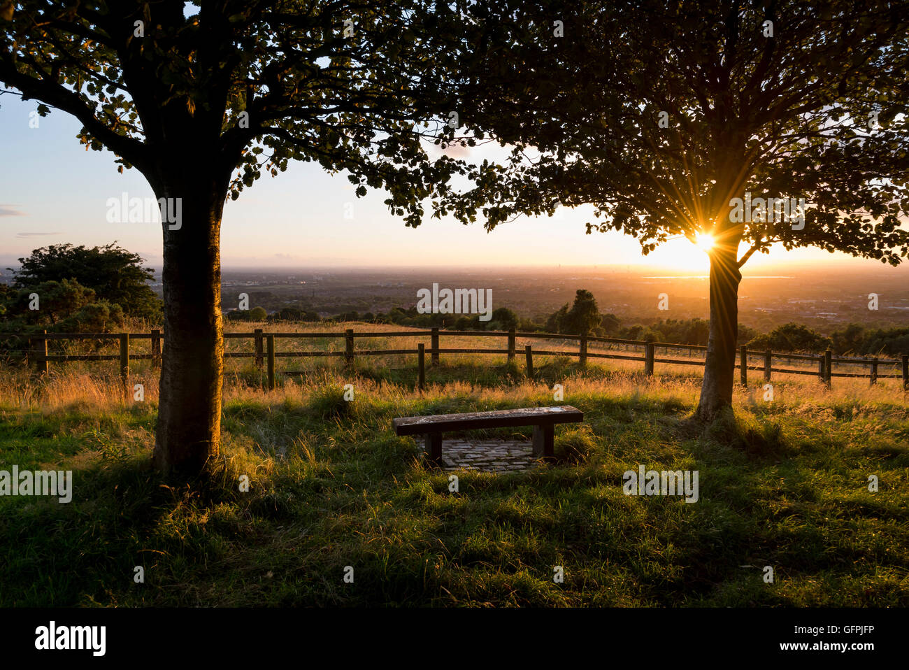 Bench beneath the trees at Werneth low country park, Hyde, Greater Manchester at sunset. Stock Photo