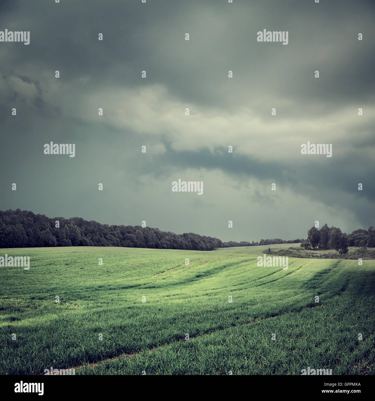 Toned Dark Landscape with Field and Moody Sky Stock Photo - Alamy