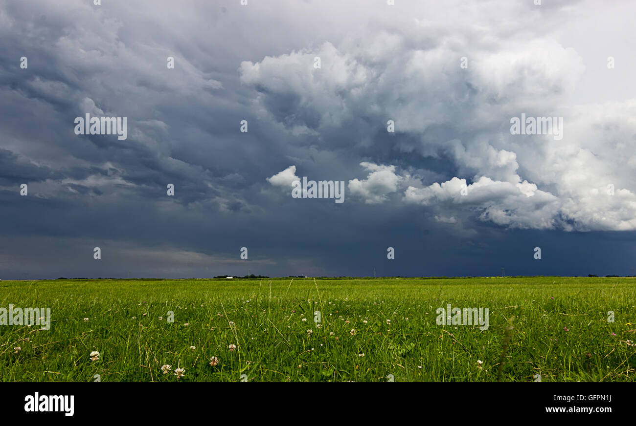 Supercell storm clouds above meadow with green grass Summer Storm ...