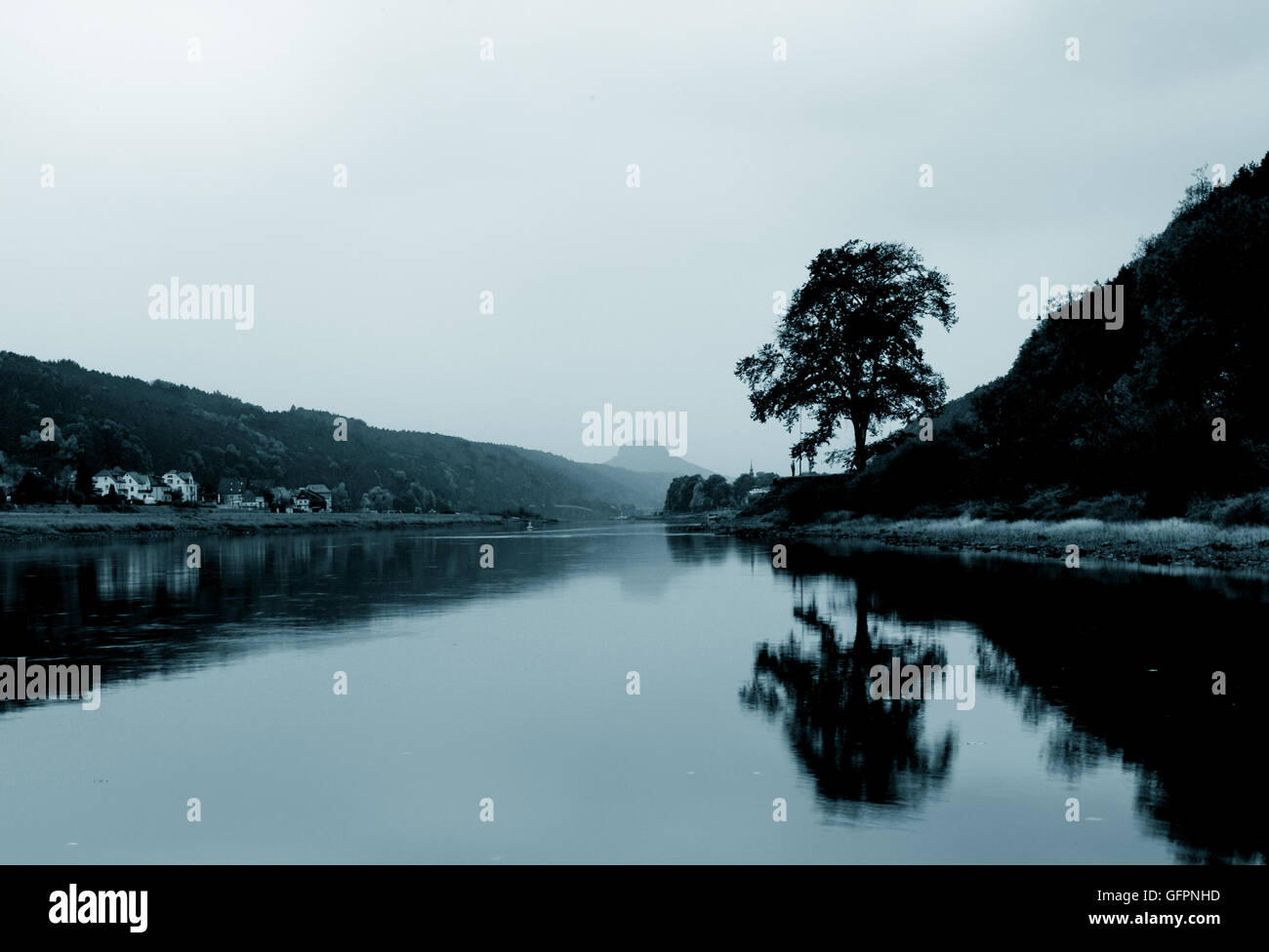 Lonely tree hi-res stock photography and images - Alamy