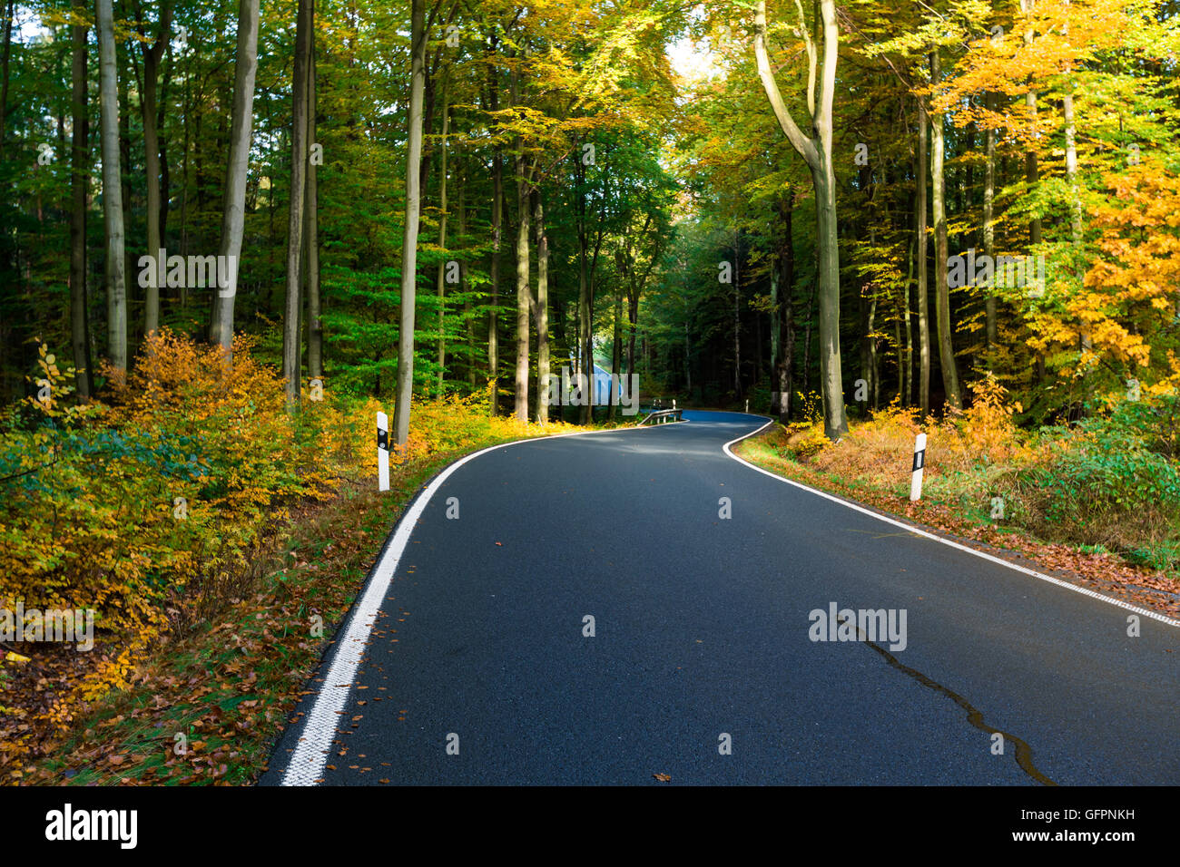 Autumn scene with road in forest, Autumn landscape with road and beautiful colored trees Stock Photo