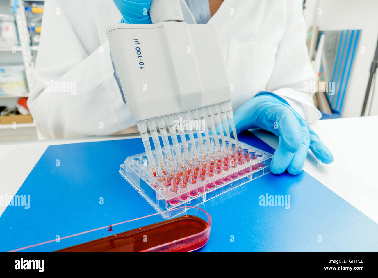 96 well plate for PCR processing, microbiological laboratory Stock
