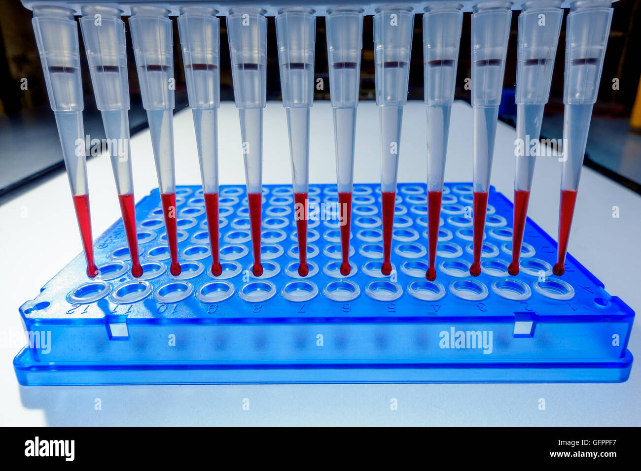 Micropipette laboratory dna analysis pipette hires stock photography