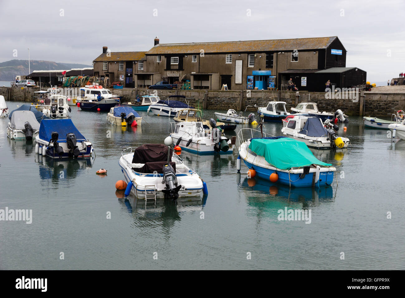 Fishing and pleasure boats moored in the shelter of the Cobb, Lyme Regis, Dorset, UK on a cloudy June day Stock Photo