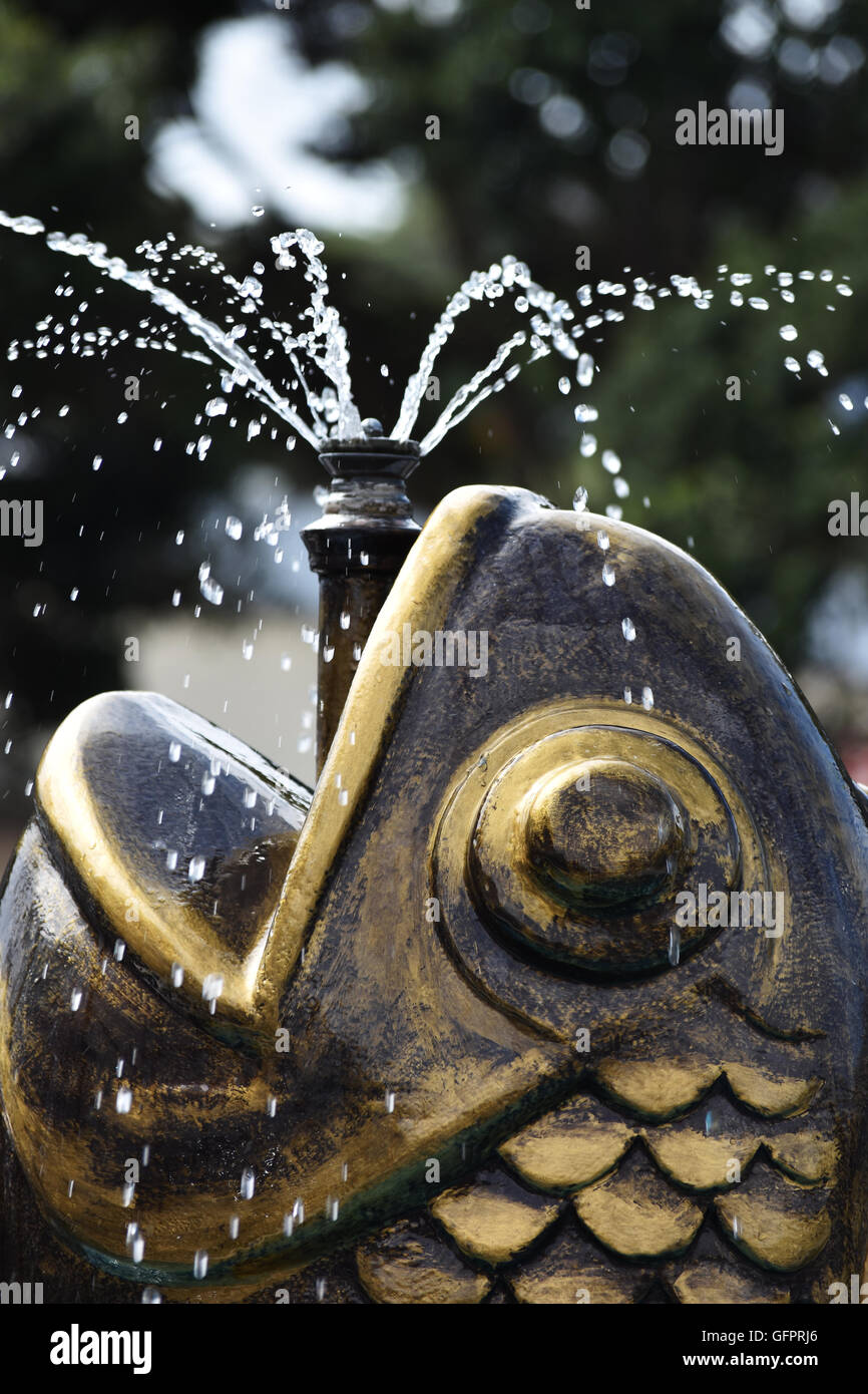 bronze fountain fish water Stock Photo Alamy