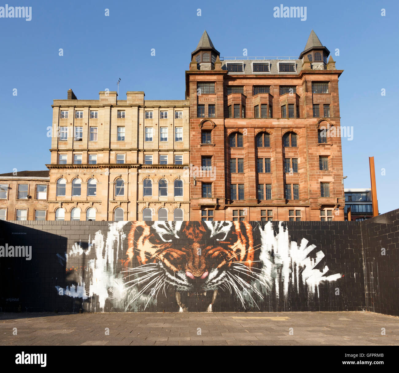 Street art drawing of a tiger, River Clyde, Glasgow Stock Photo