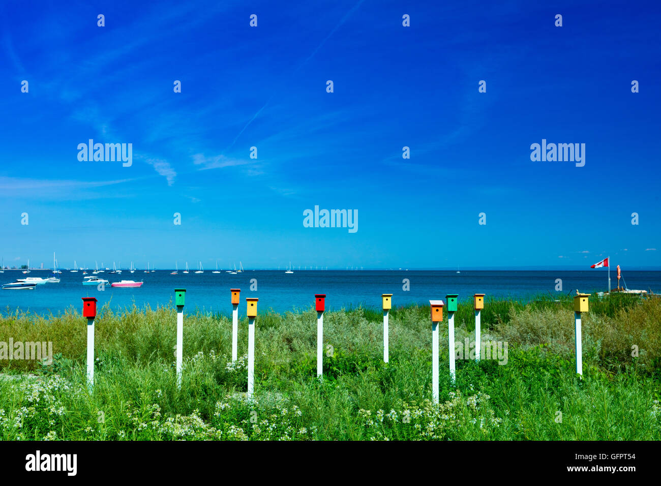 View of Bird Housing by ontario lake Stock Photo - Alamy